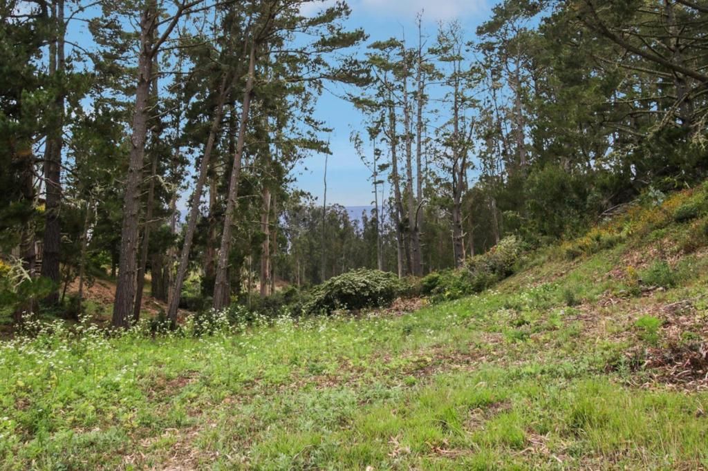 MLS #ML82014385 image #0