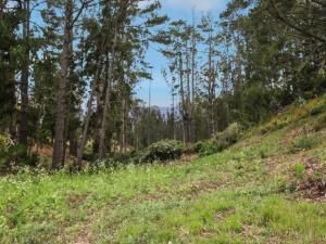 MLS #ML82014385 image #0