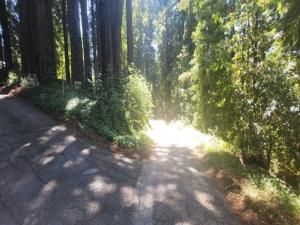 MLS #ML82014734 image #0