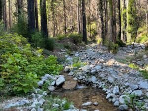 MLS #ML82015720 image #0