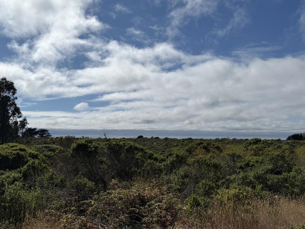 MLS #ML82015926 image #0