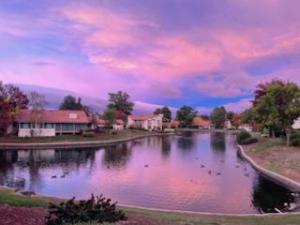 MLS #ML82016402 image #0