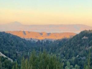 MLS #ML82016462 image #0