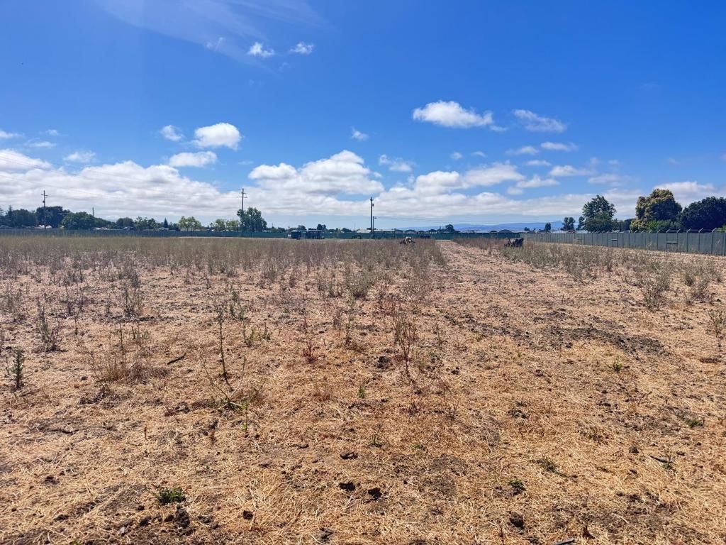 MLS #ML82017468 img 0