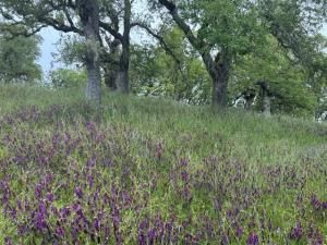 MLS #ML82017560 image #0