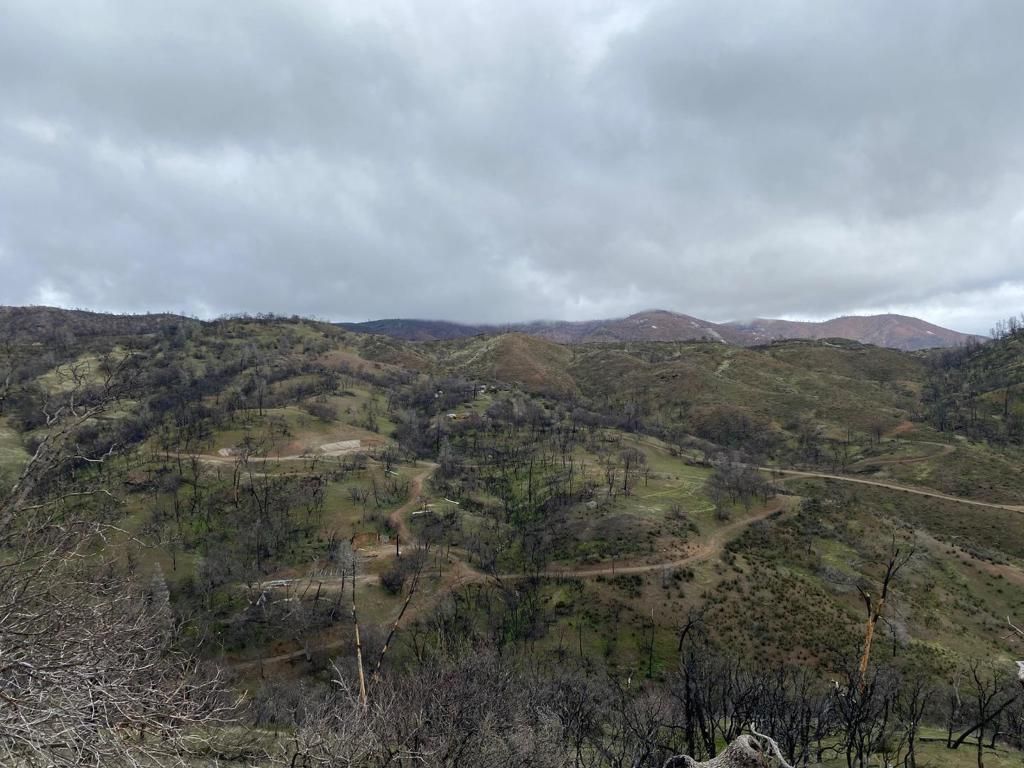 MLS #ML82018445 image #0