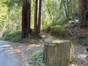 MLS #ML82019043 image #0