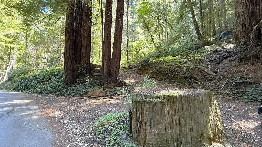 MLS #ML82019043 image #0