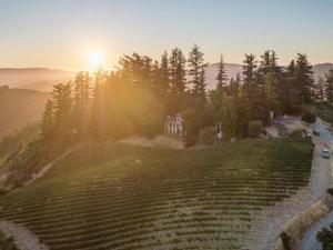 MLS #ML82021650 image #0