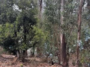 MLS #ML82021923 image #0