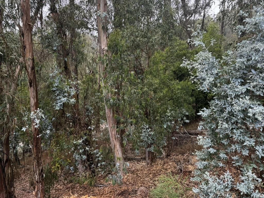 MLS #ML82021924 image #0