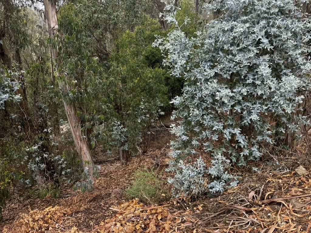 MLS #ML82021925 image #0