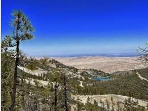 MLS #ML82022267 image #0