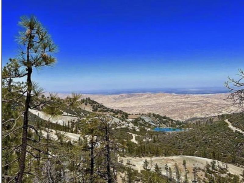 MLS #ML82022267 image #0