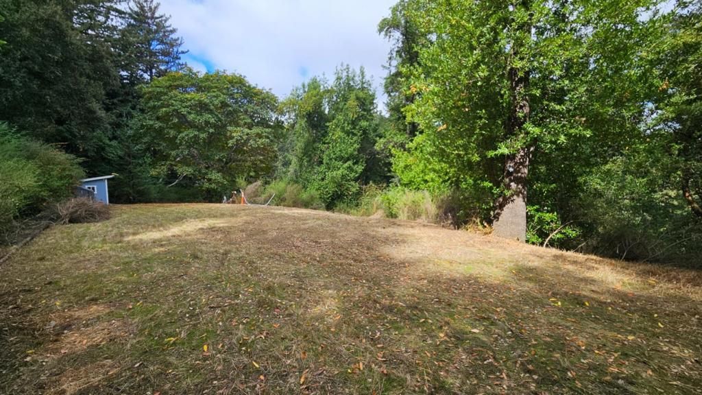 MLS #ML82022340 image #0