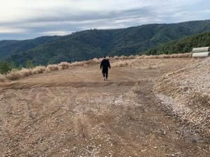 MLS #ML82022367 image #0