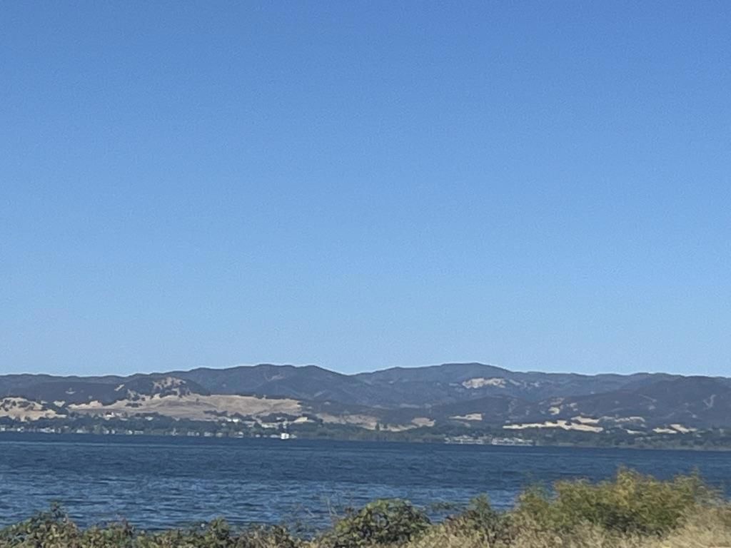 MLS #ML82022990 image #0