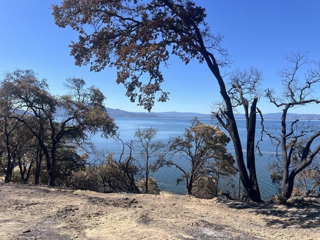 MLS #ML82022991 image #0