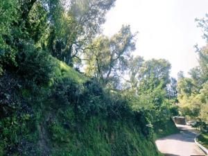 MLS #ML82023277 image #0