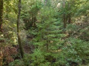 MLS #ML82023518 image #0