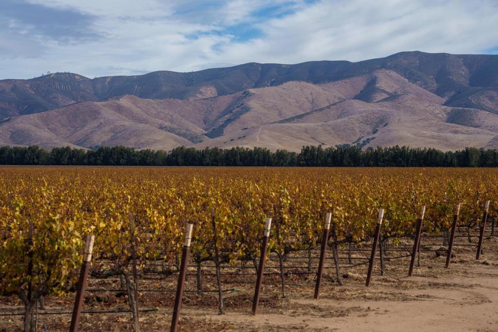 MLS #ML82023646 image #0