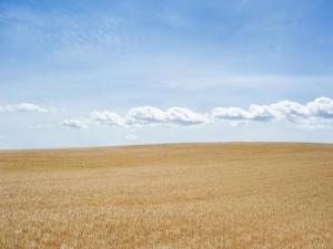 MLS #ML82023972 image #0