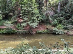 MLS #ML82024106 image #0