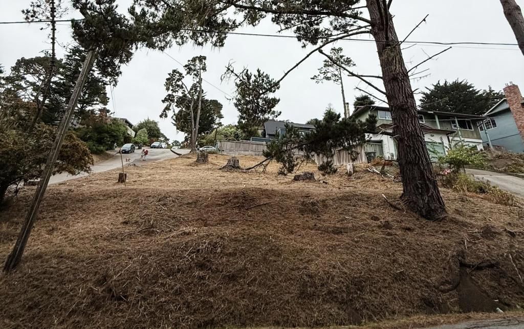 MLS #ML82024457 image #0