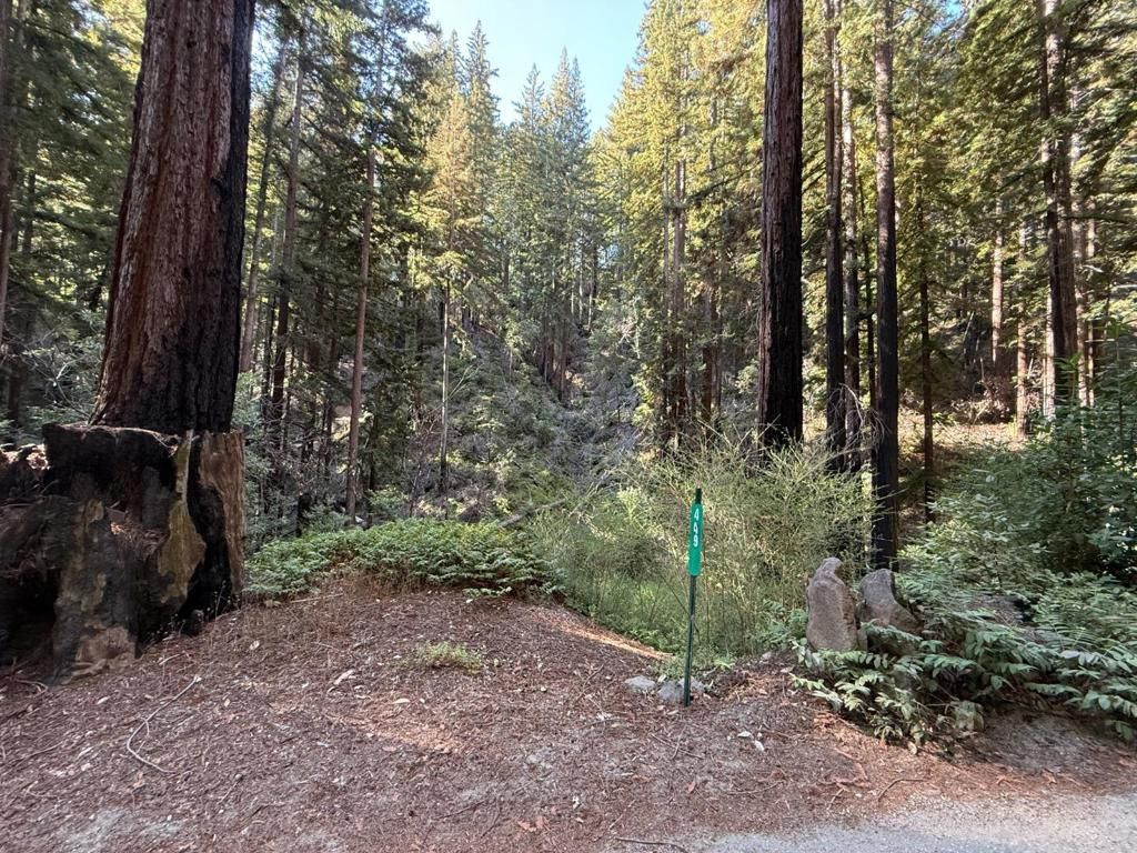 MLS #ML82025135 image #0