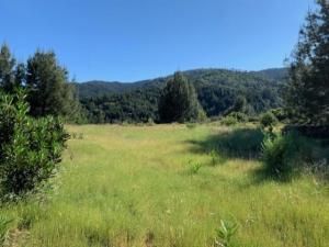 MLS #ML82025208 image #0