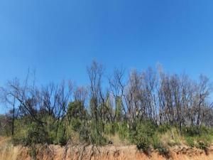 MLS #ML82026522 image #0