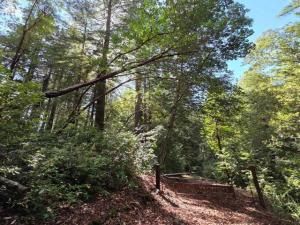 MLS #ML82027075 image #0