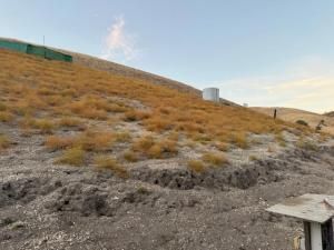 MLS #ML82027310 image #0