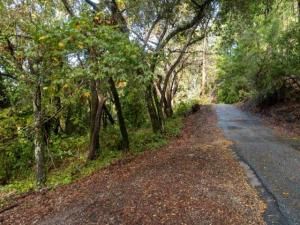 MLS #ML82027926 image #0