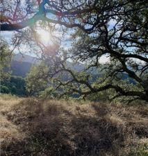 MLS #ML82028048 image #0