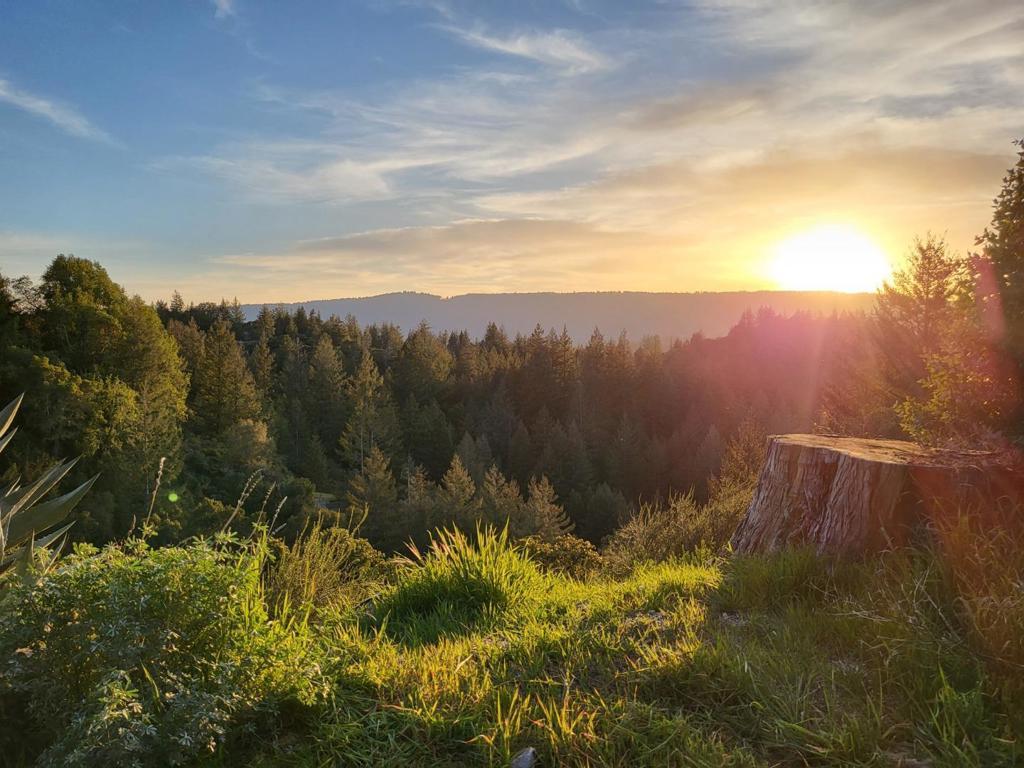 MLS #ML82028532 image #0