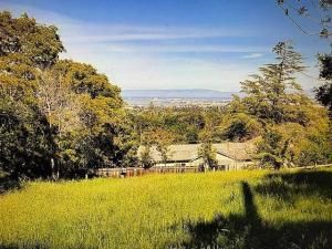 MLS #ML82028632 image #0