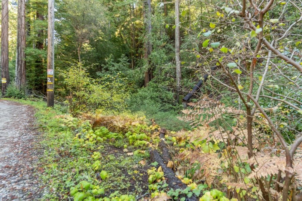 MLS #ML82028715 image #0