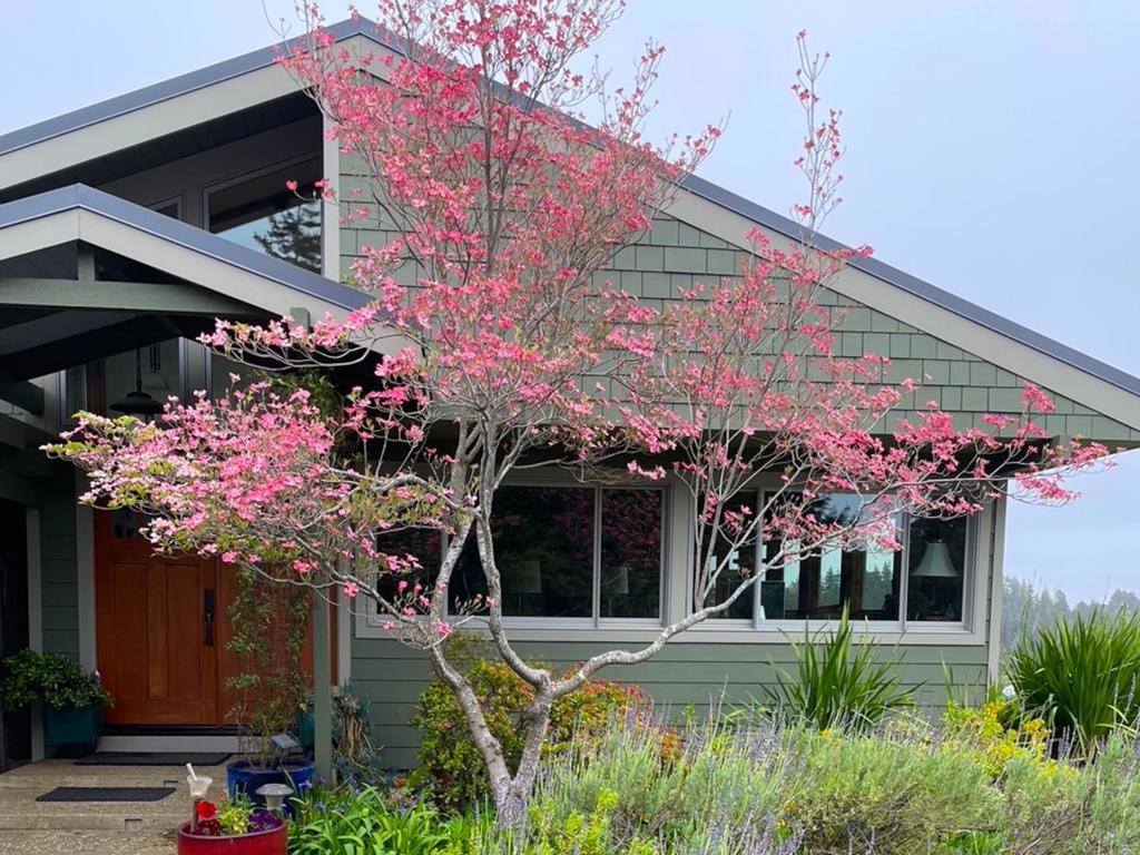 MLS #ML82030844 image #0