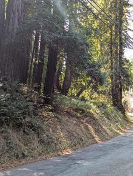 MLS #ML82031439 image #0