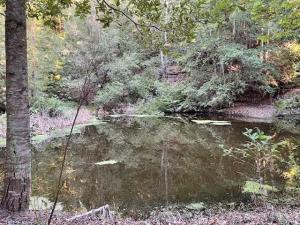 MLS #ML82032421 image #0