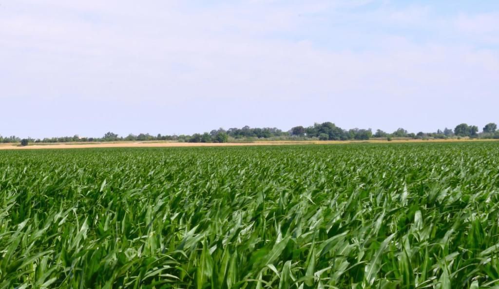 MLS #ML82032962 image #0