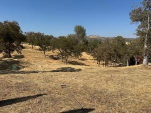MLS #ML82035204 image #0