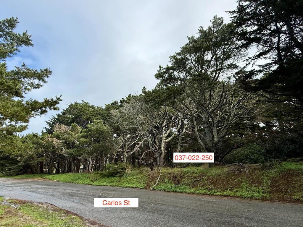 MLS #ML82035717 image #0