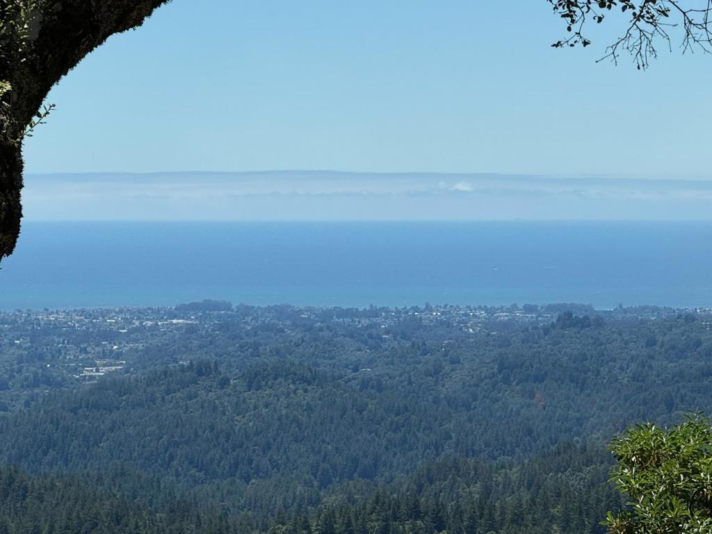 MLS #ML82037619 image #0