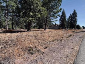 MLS #ML82041095 image #0