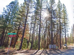 MLS #ML82044791 image #0
