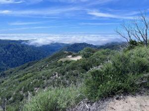 MLS #ML82045054 image #0