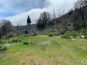 MLS #ML82046685 image #0