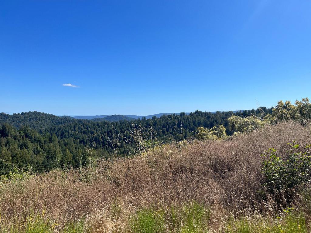 MLS #ML82051288 image #0